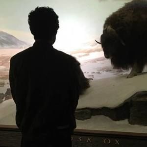 Meet your Posher, Adam